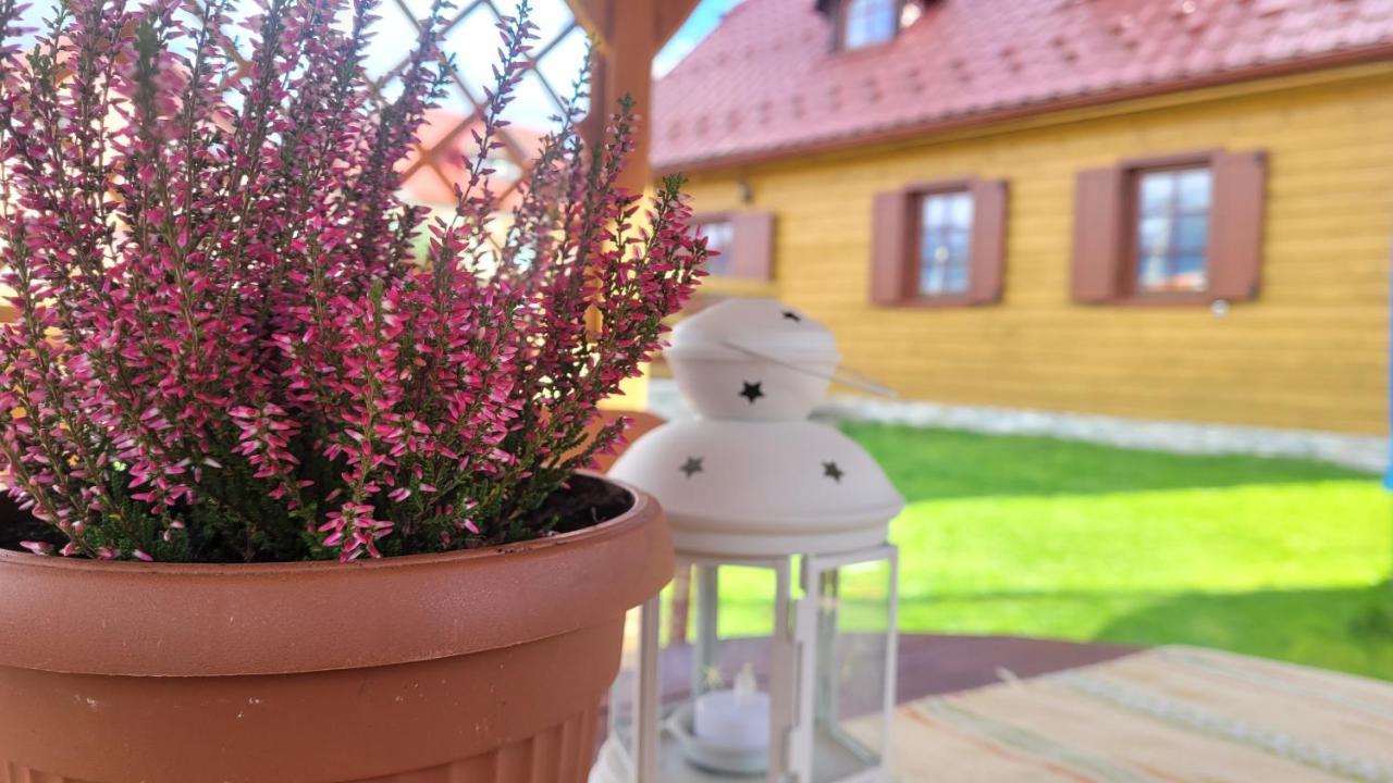 Holidayhouse Chalupa Alzbetka Ważec Zewnętrze zdjęcie